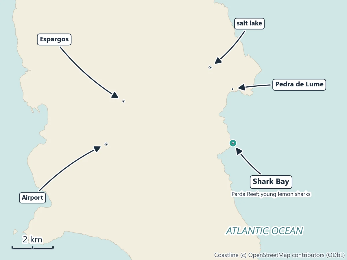 Map of the east coast of Sal: Shark Bay, also called Parda Reef, south of Pedra de Lume village and its salt lake, with Espargos and the airport to the west and the road south to Santa Maria